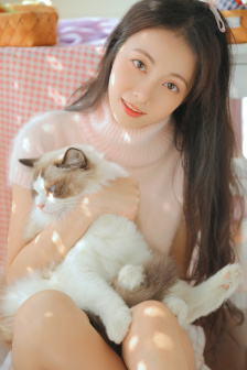 成全视频在线观看免费高清